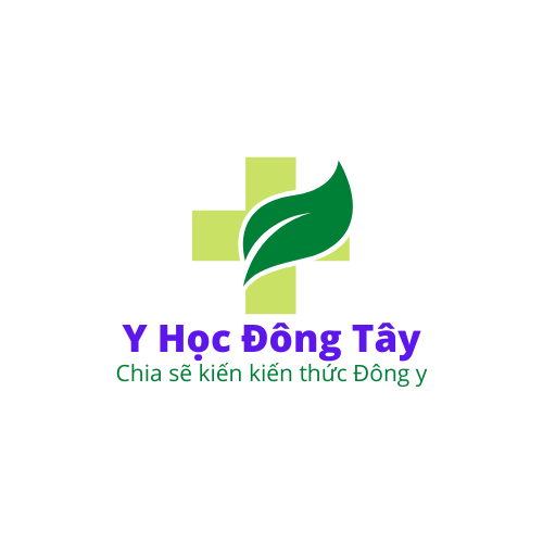 https://yhocdongtay.ogr