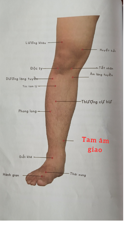 Huyệt Tam âm giao