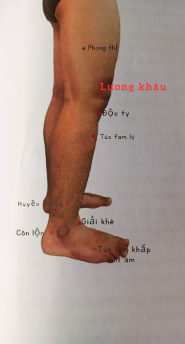 Luong khau